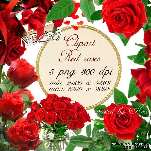 Clipart red roses 2 - Клипарт красные розы  PNG