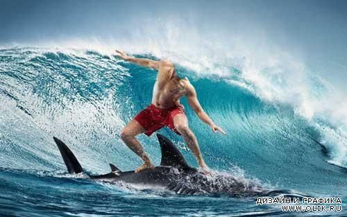 Красивый шаблон для Фотошопа - Сёрфинг на дельфине