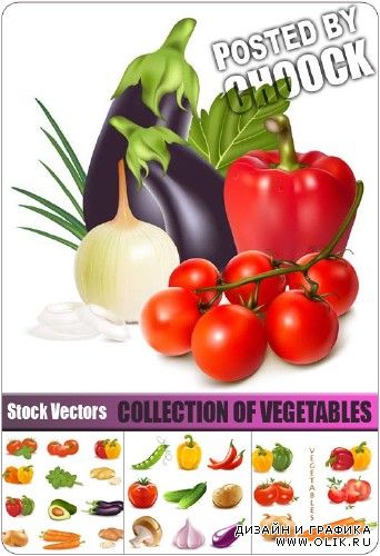 Коллекция овощей - векторный клипарт