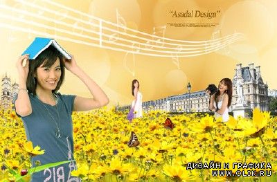A field of yellow flowers for PHSP