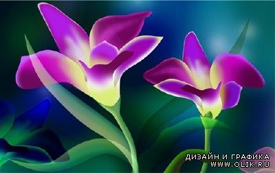 Exquisite Purple Flower PSD Graphic for PHSP