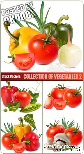 Коллекция овощей 2 - векторный клипарт