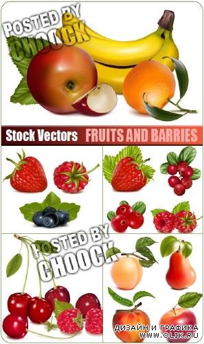 Фрукты и ягоды - векторный клипарт