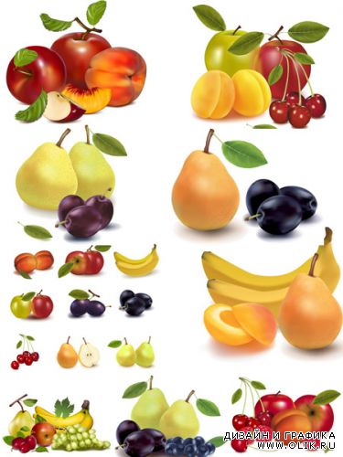 Fruits - Vectors