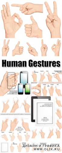 Hands Gestures Vector