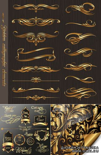 Золотая декорация элементы и орнаменты (Вектор)