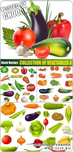 Коллекция овощей 3 - векторный клипарт