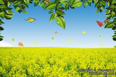 A large field of yellow flowers psd for PHSP
