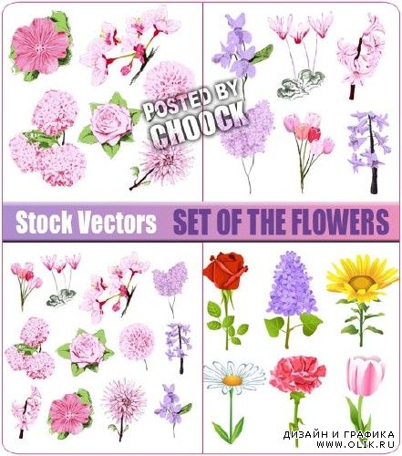 Коллекция цветов - векторный клипарт