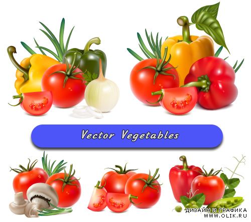 Овощи помидоры, перец, лук, горох, грибы (Вектор)