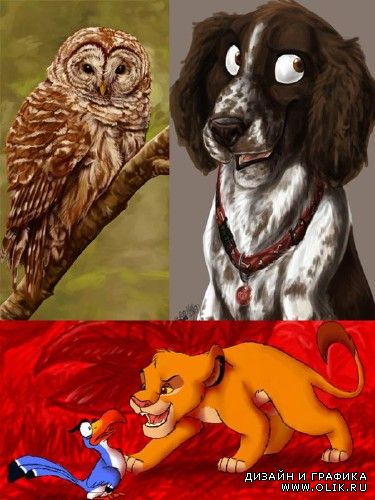 Рисунки животных от австралийской художницы Caitlin (ник BooYeh)