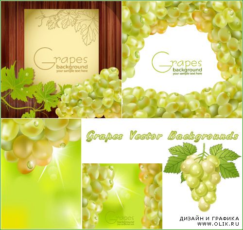 Фоны с зелеными виноградами (Вектор)