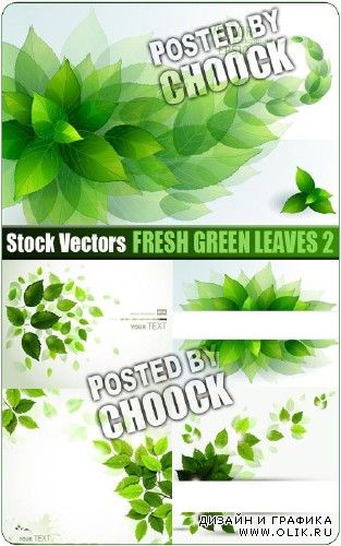 Свежие зеленые листья 2 - векторный клипарт