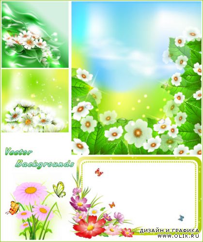 Светлые летние фоны с цветами (Вектор)
