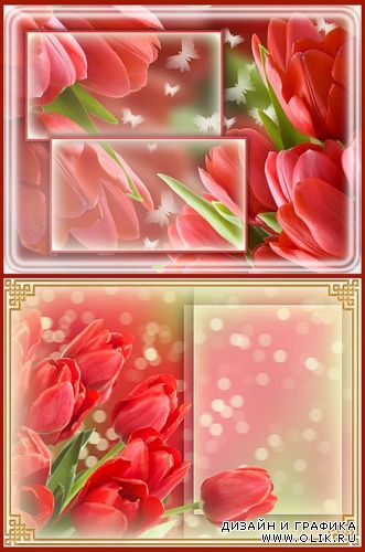 Floral Romance - Tulips