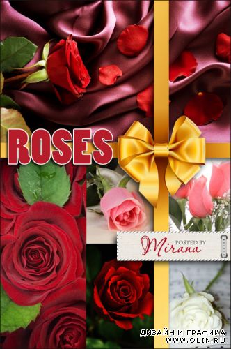 Шикарные розы различных цветов - растровый клипарт| Beautiful roses