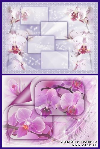 Floral Romance - Orchids