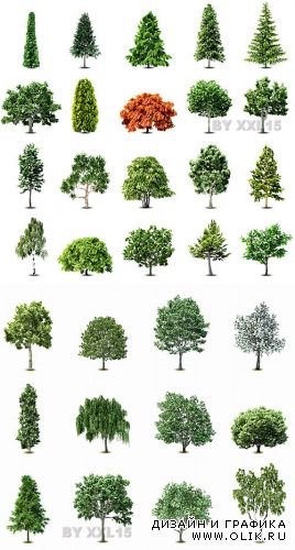 Vector set of trees isolated