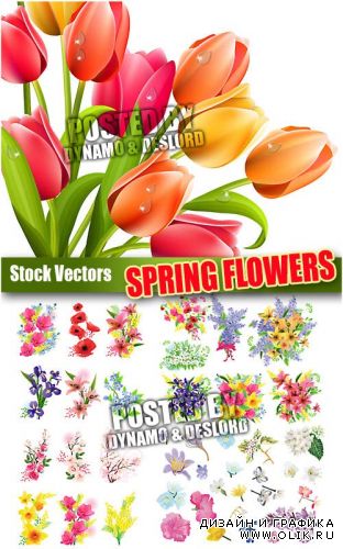 Весенние цветы - Векторный клипарт