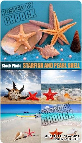 Морская звезда и жемчужная раковина - растровый клипарт