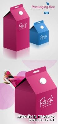 Packaging Box Psd Template for PHSP