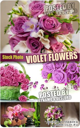 Фиолетовые цветы - Растровый клипарт