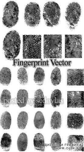 Отпечаток пальца-Вектор