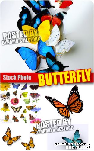 Бабочки - Растровый клипарт