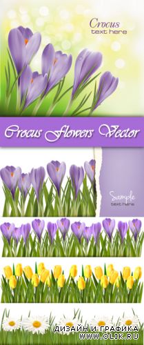 Spring Flowers Vector 4
