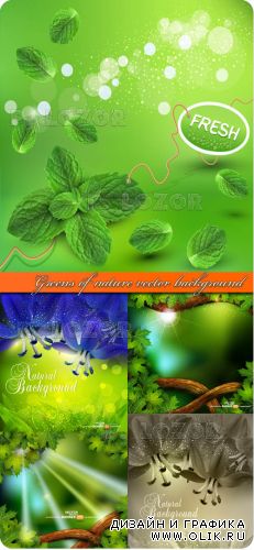 Зелень природы фоны | Greens of nature vector background
