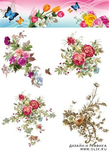 Коллекция цветочных композиций (PSD)