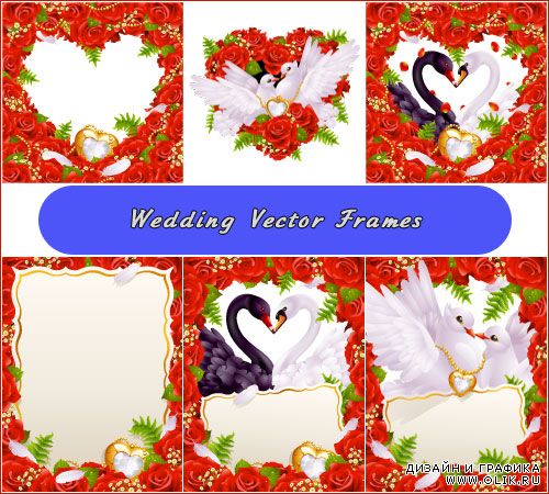 Свадебная рамки из роз с Голубями черным и белым Лебедем (Вектор)