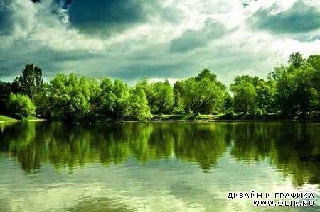 Растровые клипарты деревьев, растущих на берегу рек