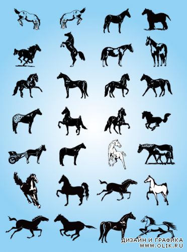 Силуэты спортивных лошадей (Вектор)