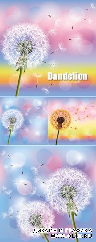 Dandelion Vector 2