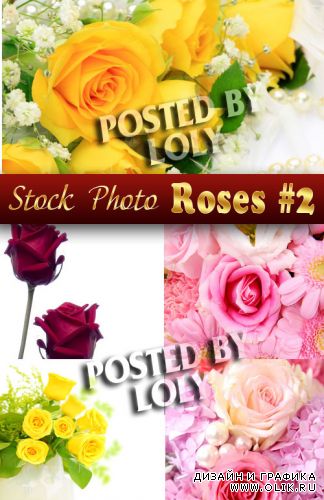 Цветы. Розы #2 - Растровый клипарт