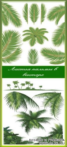 Листья пальмы в векторе / The leaves of the palm trees in the vector
