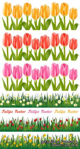 Поля с множеством разноцветных тюльпанов (Вектор)