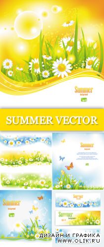 Summer Backgrounds & Banners Vector