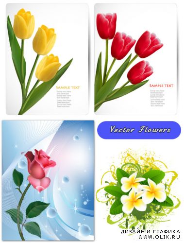 Плюмерия, открытки с тремя и четырьмя тюльпанами (Вектор)