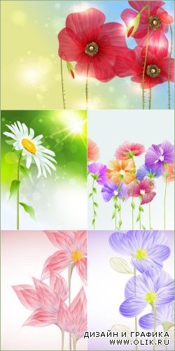 Цветы с полосатыми прозрачными лепестками (Вектор)