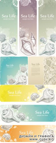 Sea & Seashells Vector