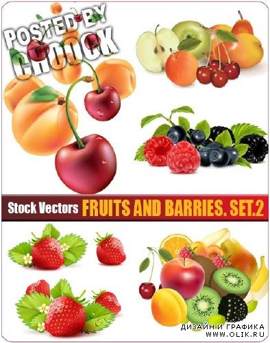 Фрукты и ягоды. Вып.2 - векторный клипарт