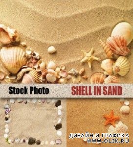 Ракушки на песке - растровый клипарт