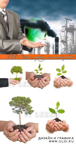 Экология | ECO - Citrus sapling in hands photo