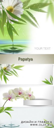 Gerbera, orchids, green leaves and water - vector backgrounds (papatya)