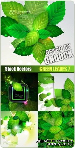 Зеленые листья 7 - векторный клипарт
