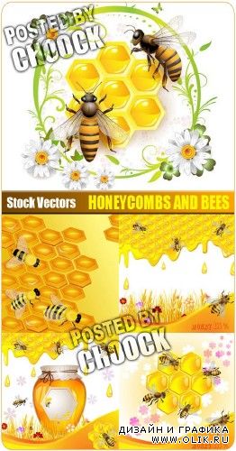 Медовые соты и пчелы - векторный клипарт