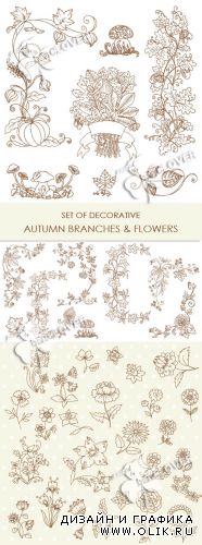 Set of decorative autumnal branches and flowers 0240