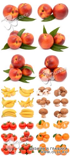 Fresh fruits, vegetables, mushrooms 0241